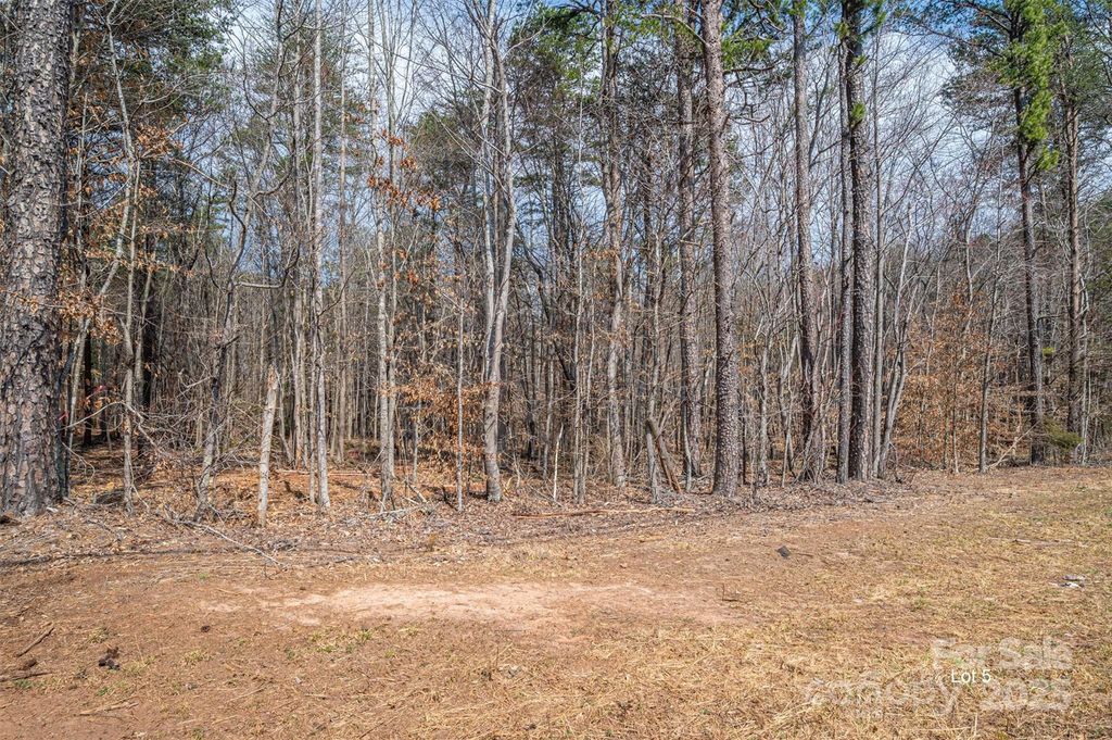00 Forney Hill Road 5, Denver, NC 28037