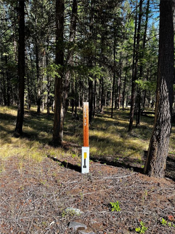 NHN Crystal Lakes Drive, Eureka, MT 59917 photo 10