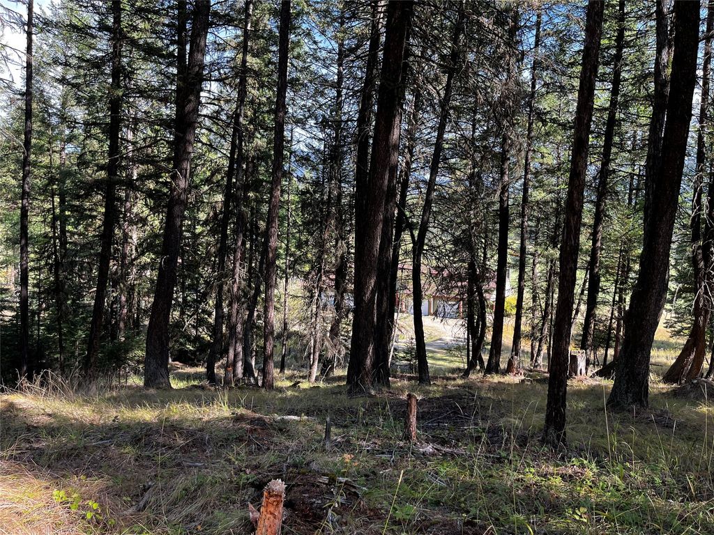 NHN Crystal Lakes Drive, Eureka, MT 59917 photo 3