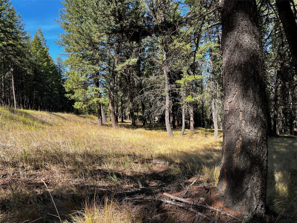 NHN Crystal Lakes Drive, Eureka, MT 59917 photo 8