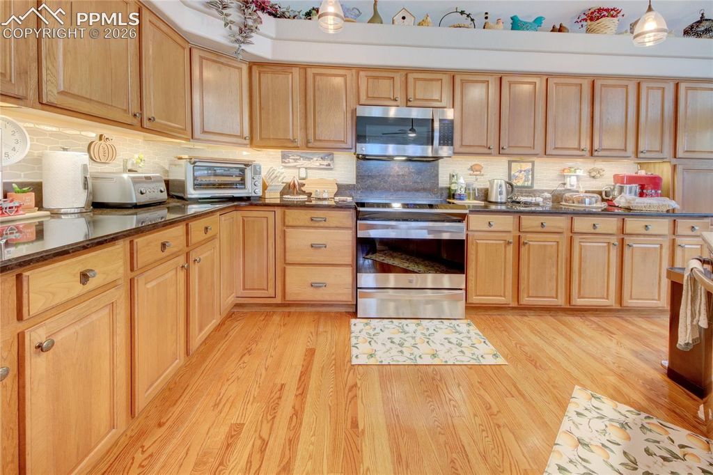 13074 Rockbridge Circle, Colorado Springs, CO 80921 — photo 5