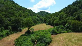 0 Hollis Creek Rd S, Woodbury, TN 37190