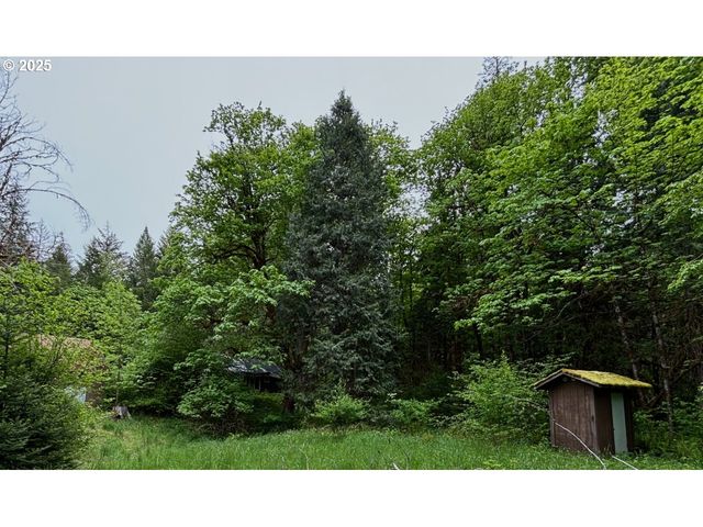 56294 HALL Dr, Mc Kenzie Bridge, OR 97413