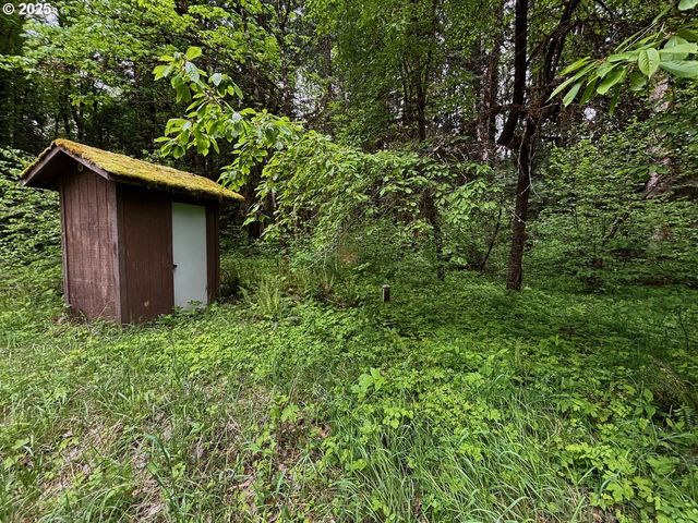 56294 HALL Dr, Mc Kenzie Bridge, OR 97413