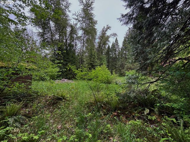 56294 HALL Dr, Mc Kenzie Bridge, OR 97413