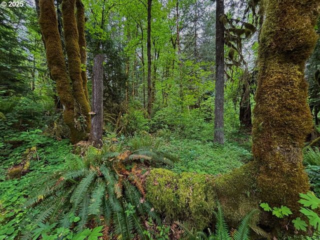 56294 HALL Dr, Mc Kenzie Bridge, OR 97413