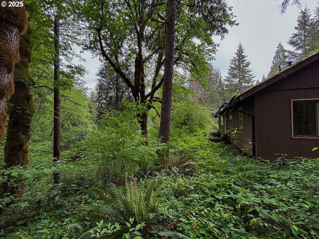 56294 HALL Dr, Mc Kenzie Bridge, OR 97413