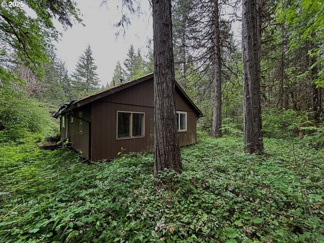 56294 HALL Dr, Mc Kenzie Bridge, OR 97413