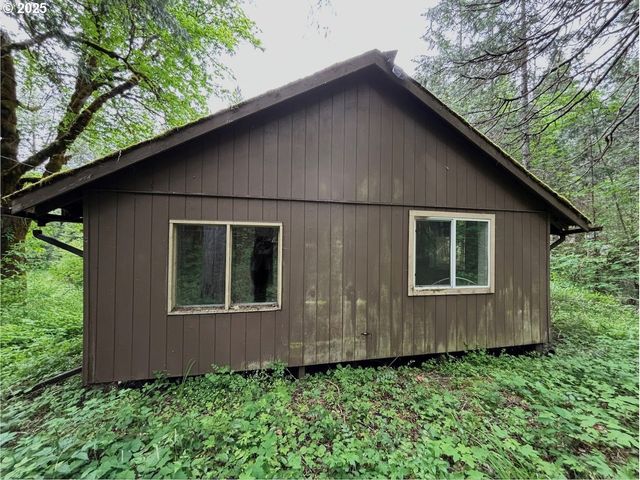 56294 HALL Dr, Mc Kenzie Bridge, OR 97413