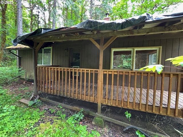 56294 HALL Dr, Mc Kenzie Bridge, OR 97413