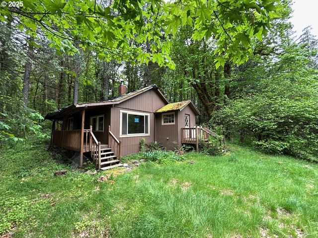 56294 HALL Dr, Mc Kenzie Bridge, OR 97413