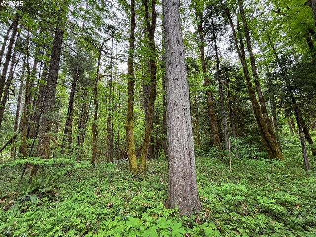56294 HALL Dr, Mc Kenzie Bridge, OR 97413