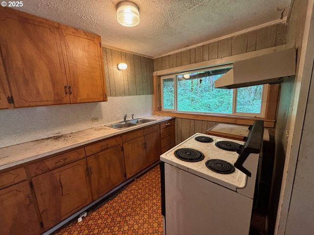56294 HALL Dr, Mc Kenzie Bridge, OR 97413