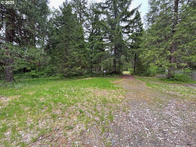 56294 HALL Dr, Mc Kenzie Bridge, OR 97413