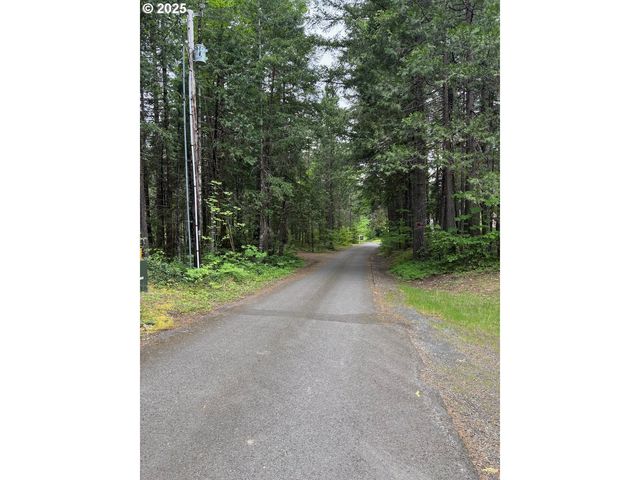 56294 HALL Dr, Mc Kenzie Bridge, OR 97413