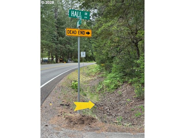 56294 HALL Dr, Mc Kenzie Bridge, OR 97413