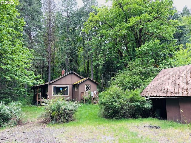 56294 HALL Dr, Mc Kenzie Bridge, OR 97413