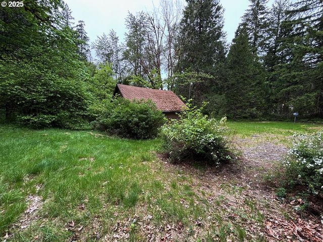 56294 HALL Dr, Mc Kenzie Bridge, OR 97413