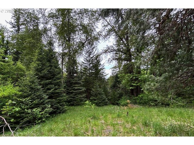 56294 HALL Dr, Mc Kenzie Bridge, OR 97413