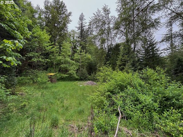 56294 HALL Dr, Mc Kenzie Bridge, OR 97413