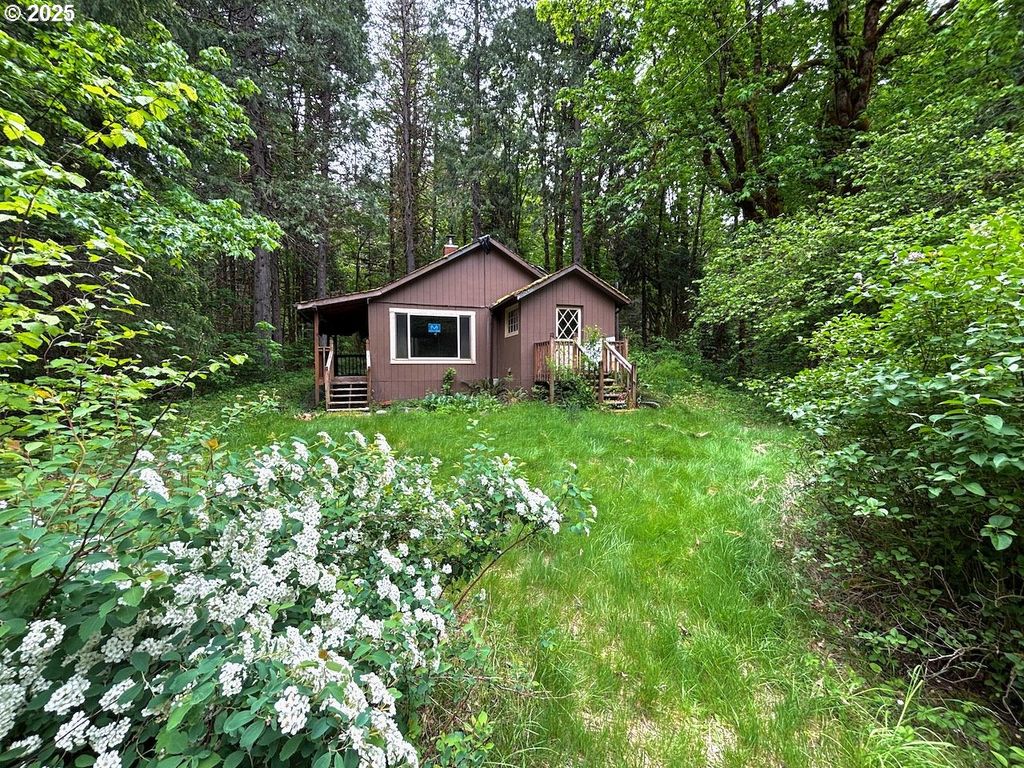 56294 HALL Dr, Mc Kenzie Bridge, OR 97413