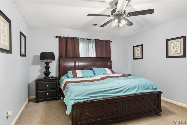 10433 Shadow View, Tuscaloosa, AL 35405