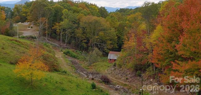 745 Broom Road, Tuckasegee, NC 28783