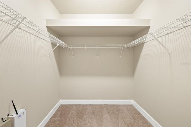 14543 MIRABELLE VISTA CIRCLE, Tampa, FL 33626