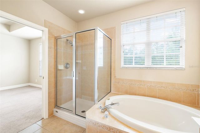 14543 MIRABELLE VISTA CIRCLE, Tampa, FL 33626