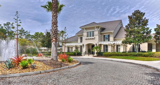 14543 MIRABELLE VISTA CIRCLE, Tampa, FL 33626