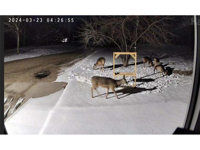 5334 State Highway 27 W, Alexandria, MN 56308