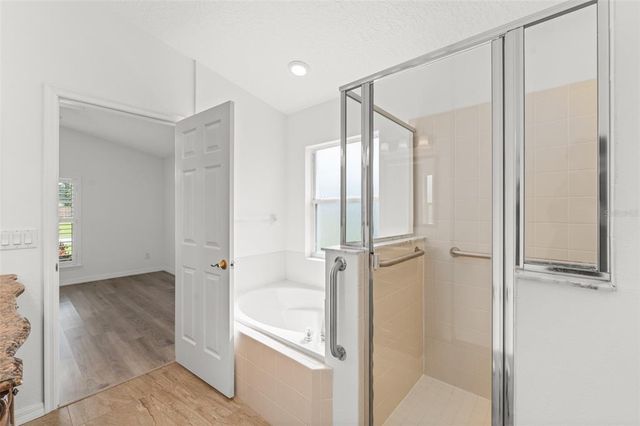 11341 AUTUMN WIND LOOP, Clermont, FL 34711
