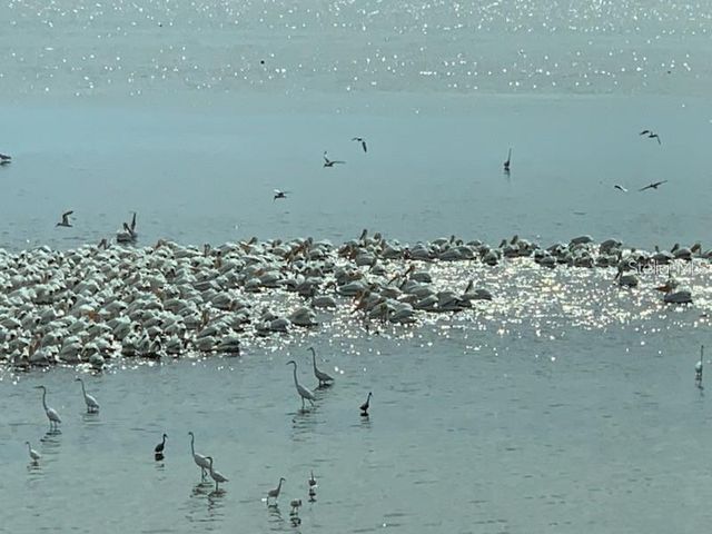 6470 MOURNING DOVE DRIVE 203, Bradenton, FL 34210