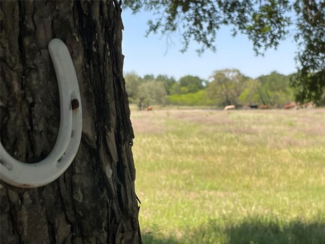 3000 Pettytown RD, Dale, TX 78616