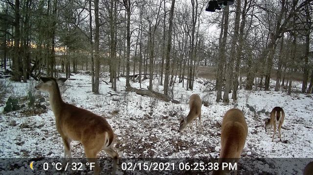 3000 Pettytown RD, Dale, TX 78616