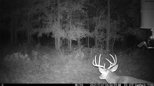 3000 Pettytown RD, Dale, TX 78616