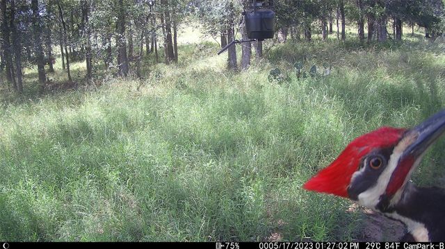 3000 Pettytown RD, Dale, TX 78616