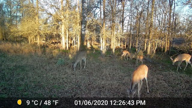 3000 Pettytown RD, Dale, TX 78616