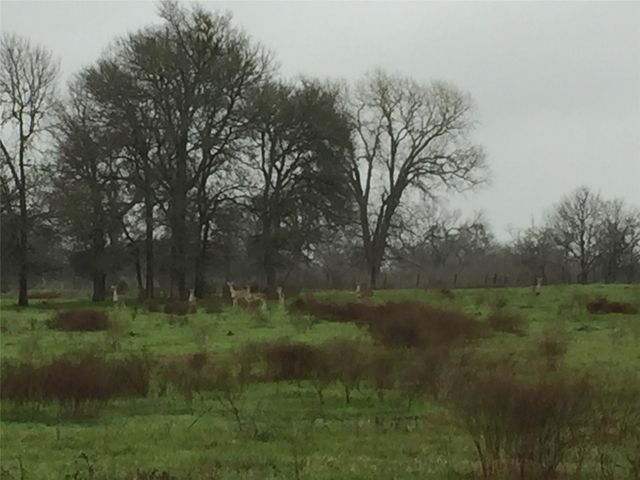 3000 Pettytown RD, Dale, TX 78616