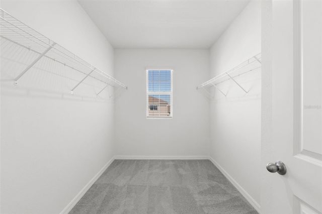 5495 WARRINGTON TOWN PATH, Wesley Chapel, FL 33545