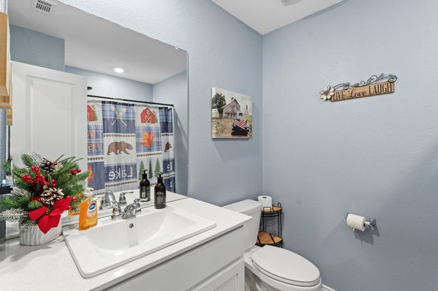 320 Bertram Oaks DR, Bertram, TX 78605