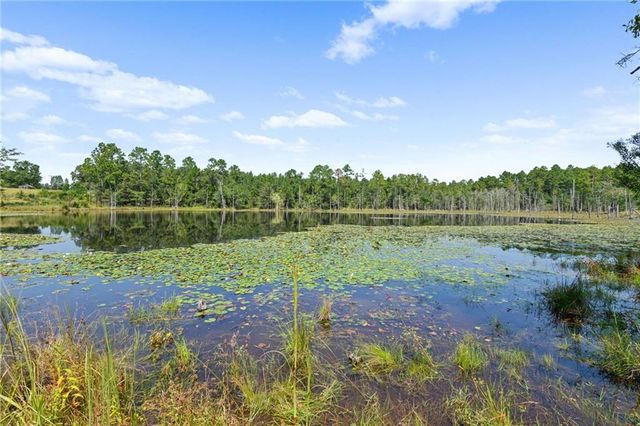 18280 6th S Street, Citronelle, AL 36522