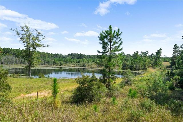 18280 6th S Street, Citronelle, AL 36522