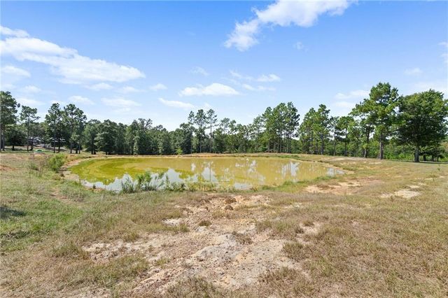 18280 6th S Street, Citronelle, AL 36522