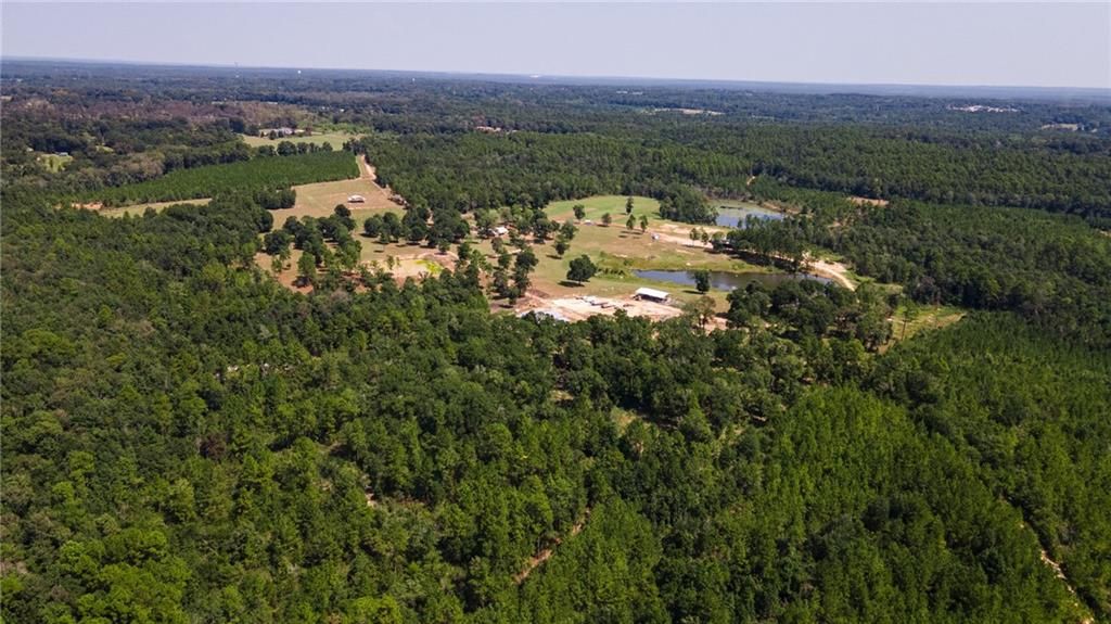 18280 6th S Street, Citronelle, AL 36522