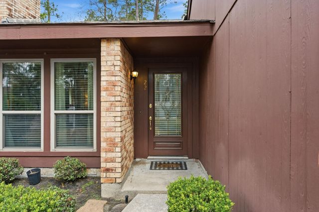 22 Berryfrost Lane, The Woodlands, TX 77380