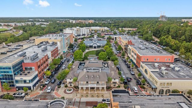 22 Berryfrost Lane, The Woodlands, TX 77380