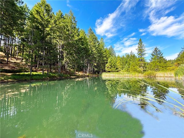 4101 Chinquapin Drive, Willits, CA 95490