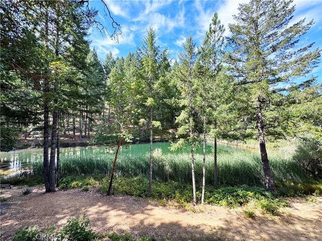 4101 Chinquapin Drive, Willits, CA 95490