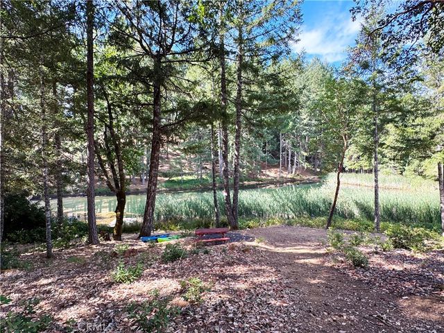 4101 Chinquapin Drive, Willits, CA 95490